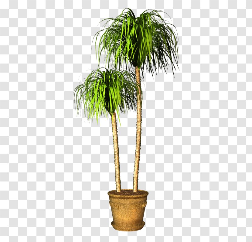 Flowerpot Houseplant - Plant - Flower Transparent PNG