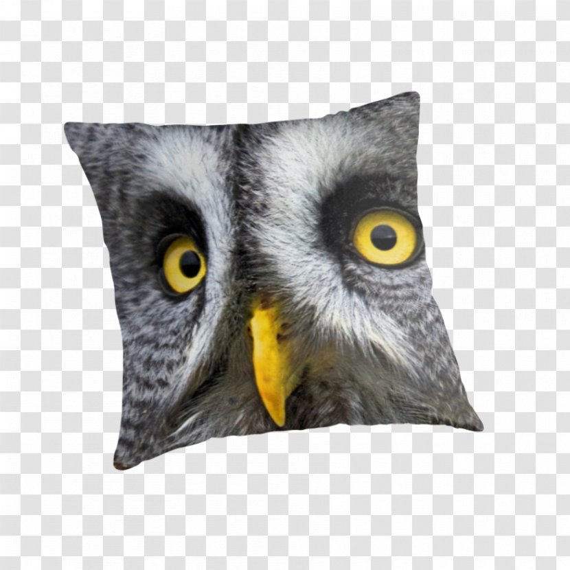 Owl Throw Pillows Cushion Beak - Grey Transparent PNG