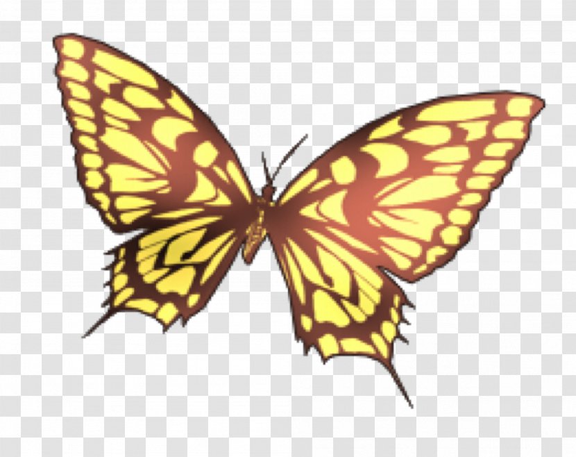 Monarch Butterfly Image Moth - Pollinator Transparent PNG
