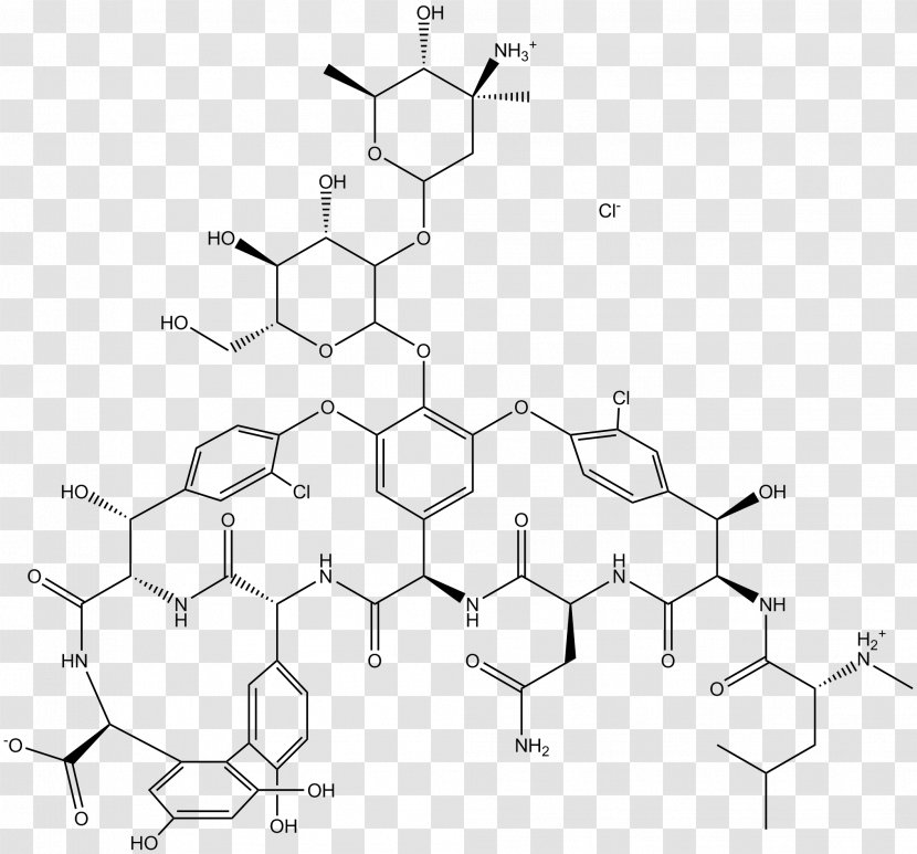 Vancomycin Hydrochloride Erythroderma Chemistry Kidney - Point Transparent PNG