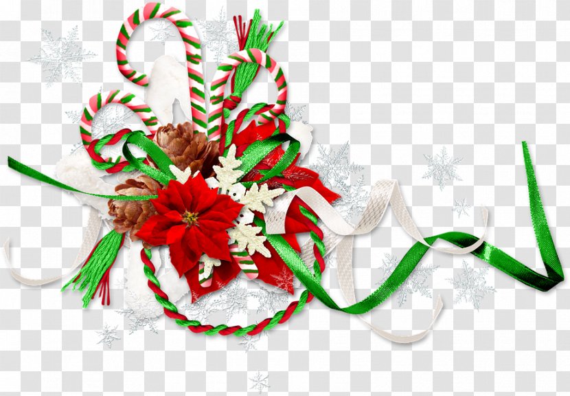 Christmas And New Year Background - Plant Eve Transparent PNG