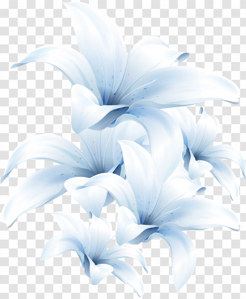 Flower Desktop Wallpaper Blue 1080p High-definition Television - Cut Flowers - Hand-painted Lily Transparent PNG