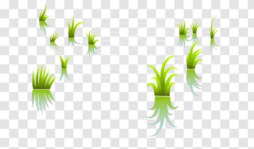 Paddy Field Arable Land Graphic Design - Rural Area - Seedlings In Fields Transparent PNG