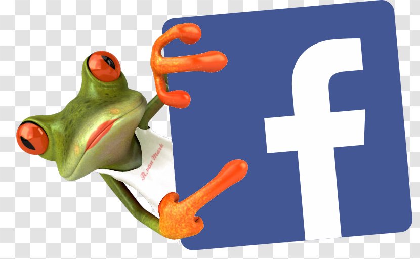 Social Media Marketing Network Facebook Transparent PNG