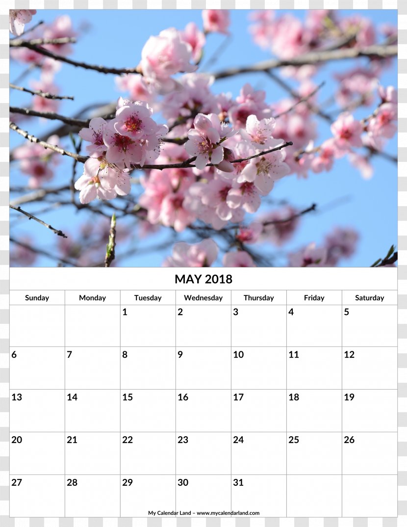 Flower 术数 Zi Wei Dou Shu Artropatia Emofilica 慧真館 - Cherry Blossom - Calendar May 2018 Transparent PNG