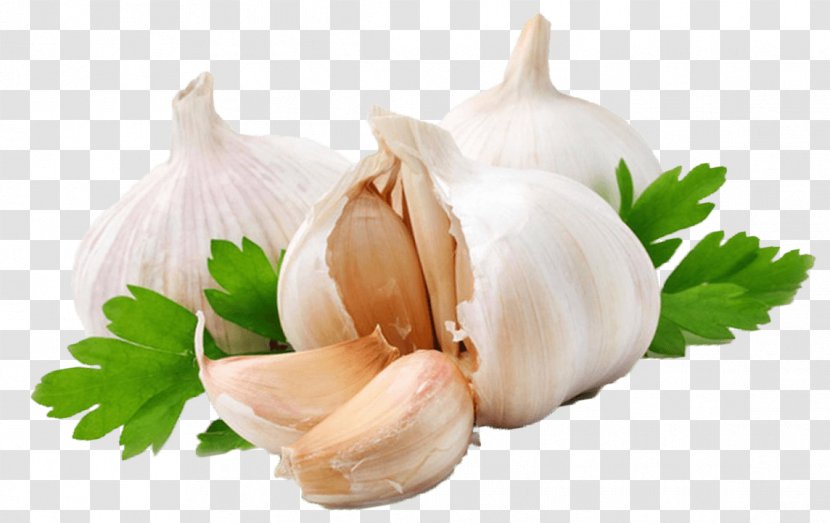 Garlic Vegetable Food Clip Art - Onion Transparent PNG