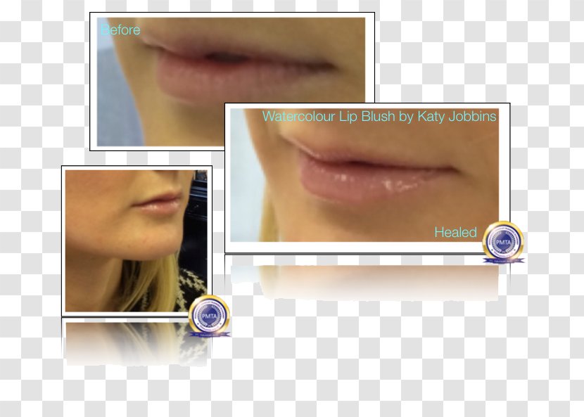 Eyelash Extensions Cheek Lip Gloss Chin - Cosmetics - Permanent Makeup Transparent PNG