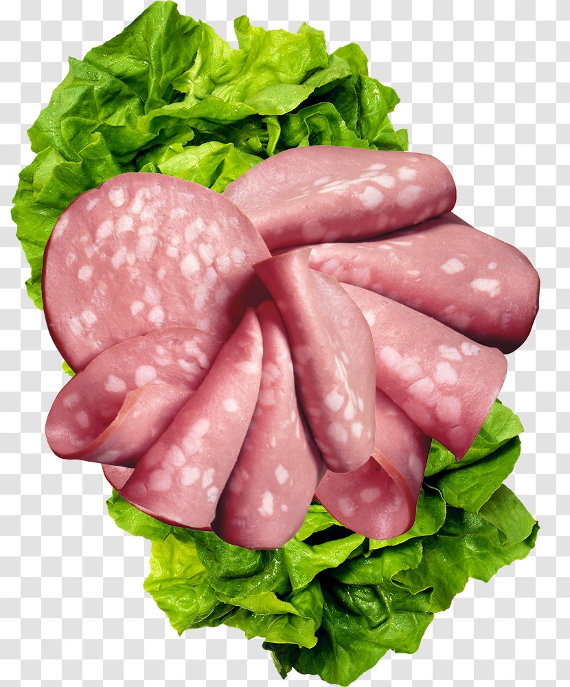 Bratwurst Ham Salami Mettwurst Bresaola - Lunch Meat - Pot Material Transparent PNG