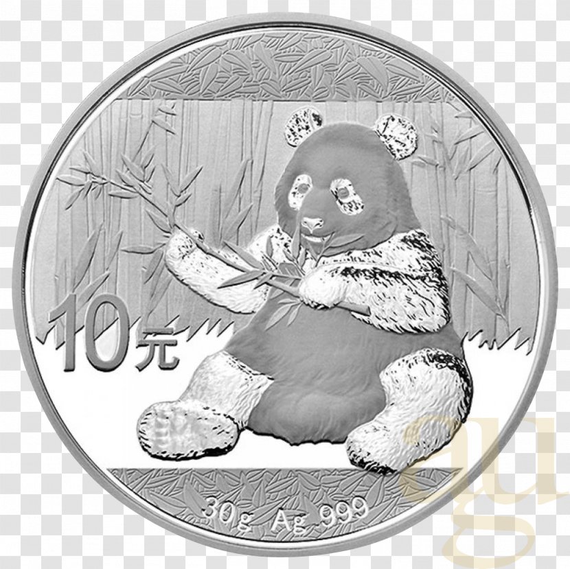 Giant Panda Chinese Silver Bullion Coin Gold Transparent PNG