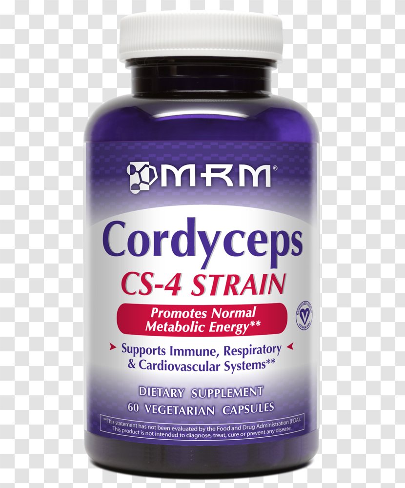 Dietary Supplement Cordyceps Capsule Vegetarian Cuisine Health - Vitamin D Transparent PNG