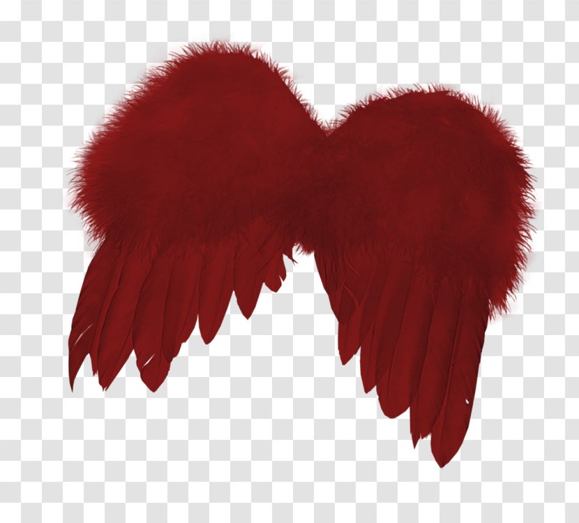 Feather - Red - Wings Transparent PNG