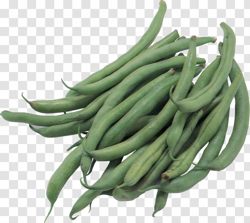 Vegetable Green Bean Common Pea - Commodity Transparent PNG