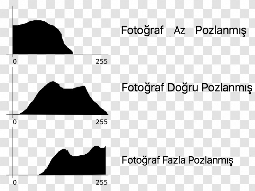 Image Histogram Photography Exposure - Ideas Transparent PNG