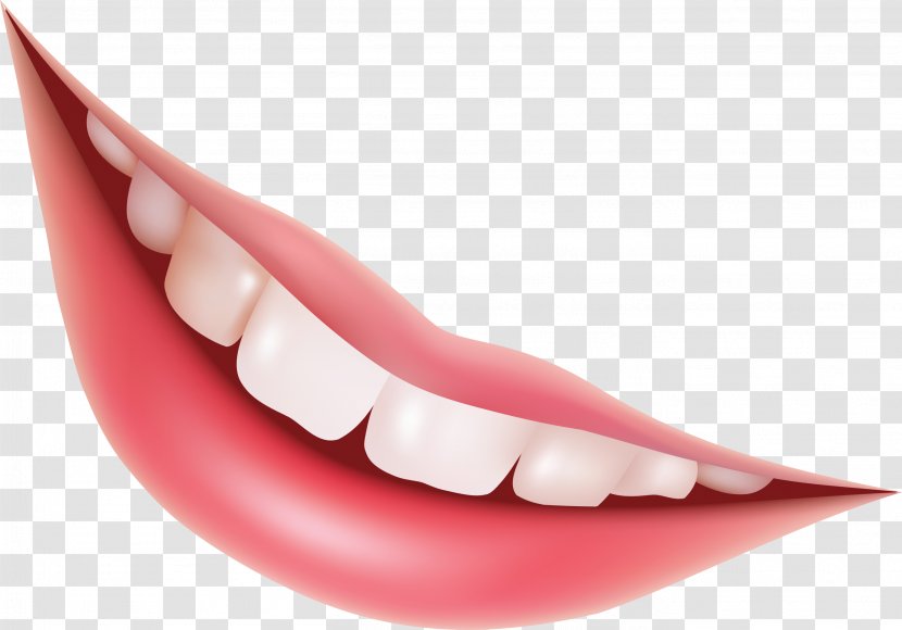 Mouth Lip Euclidean Vector Smile - Royalty Free Transparent PNG
