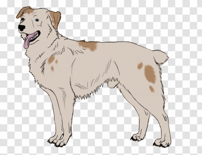 Dog Breed Akbash Sporting Group Retriever Companion - Angry Transparent PNG