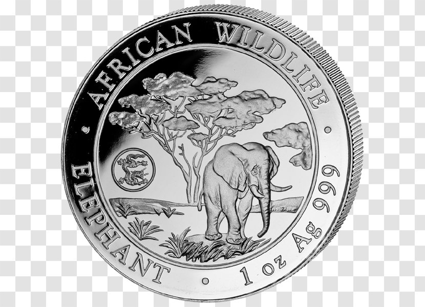 African Elephant Silver Coin Elephantidae - Currency Transparent PNG