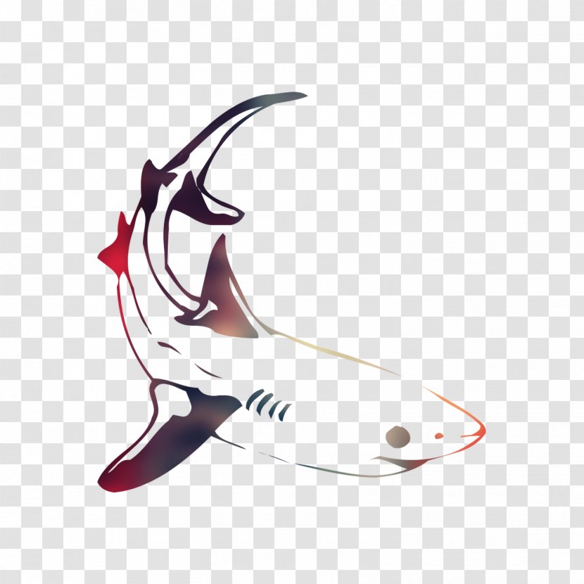 Fish Product Design Graphics - Koi Transparent PNG