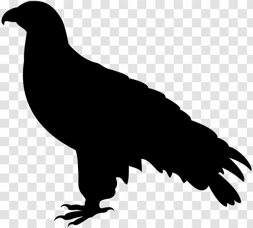 Royalty-free Silhouette Falcon - Vulture Transparent PNG