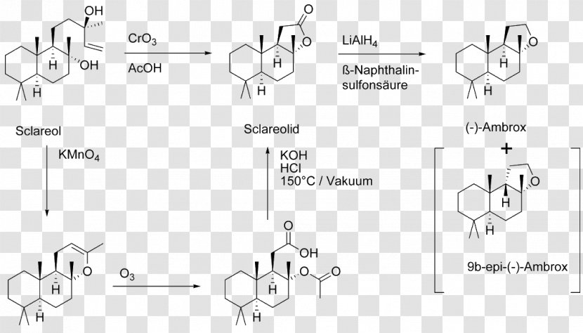 Sclareol Ambroxide Chemistry Diterpene Chemical Synthesis - Number - Area Transparent PNG