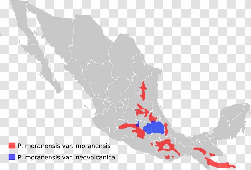 Vector Graphics Administrative Divisions Of Mexico Map Stock Illustration Transparent PNG