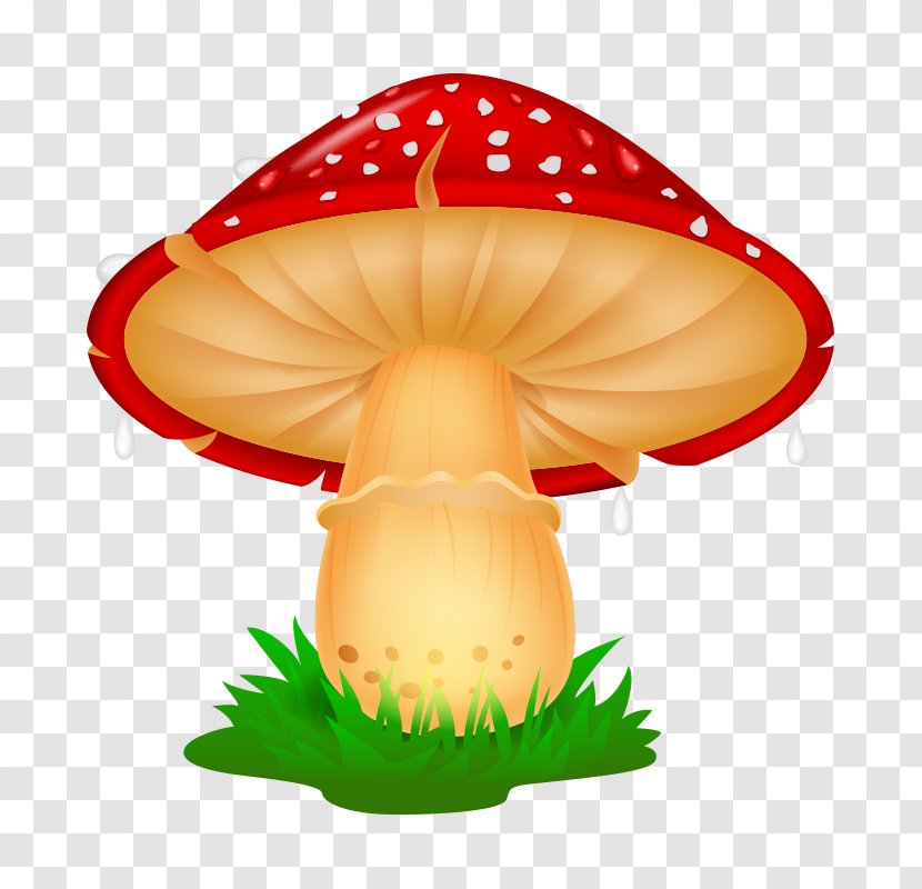 Mushroom Drawing Cartoon Illustration - Royaltyfree - Mushroom,fungus Transparent PNG