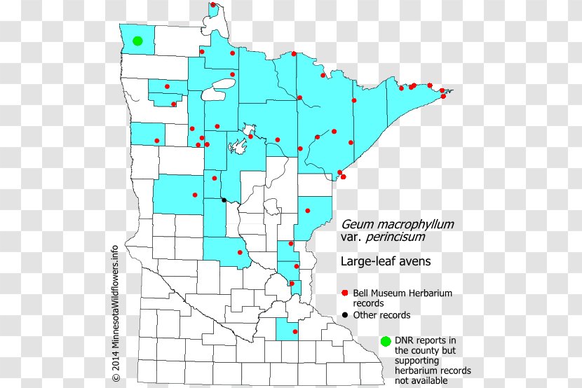 Minnesota Line Point Land Lot Map Transparent PNG