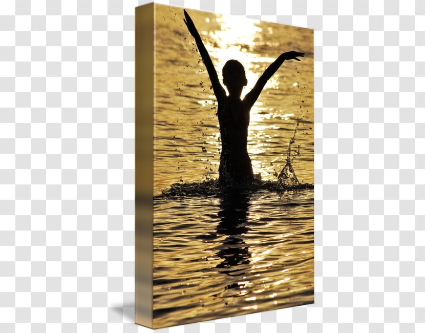 Stock Photography Alamy - Frame - Jump Out Of The Water Transparent PNG
