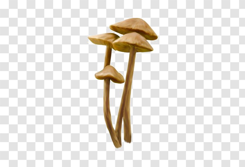 Mushroom Clip Art - Table Transparent PNG