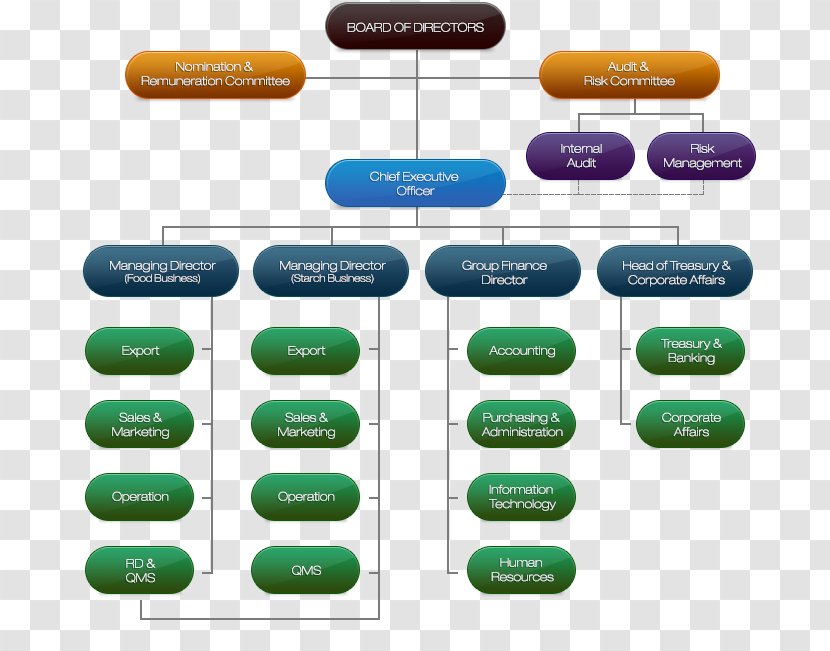 Organizational Structure Public Company Chart Limited - Organization - Business Transparent PNG
