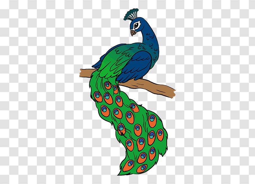 Drawing Peafowl Sketch - Art Transparent PNG