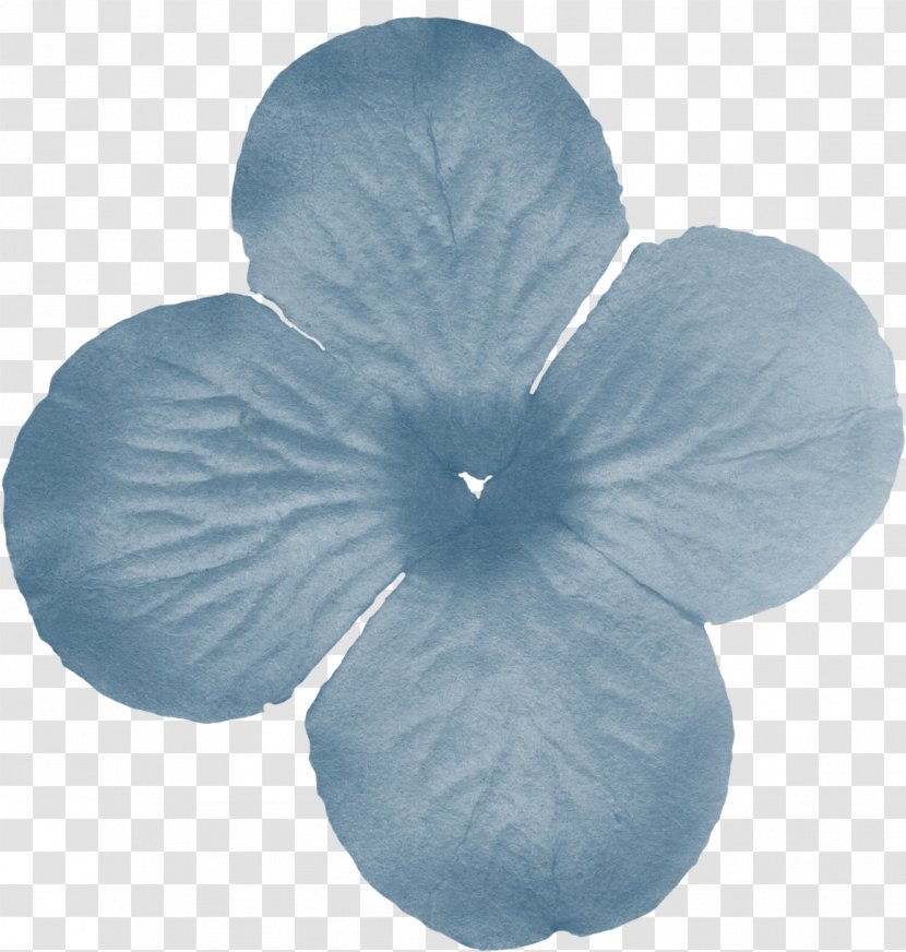 Petal Flower - Mallow Family - Floral Pattern Transparent PNG