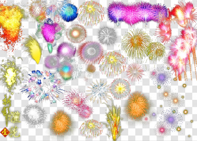 Adobe Fireworks - Flora - Collection Transparent PNG