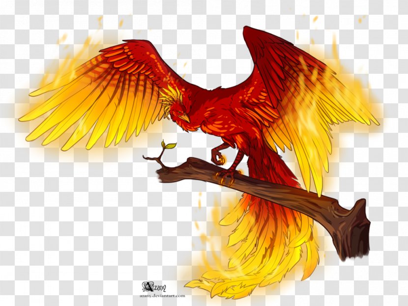 Phoenix Fire Flame Drawing - Qilin Transparent PNG