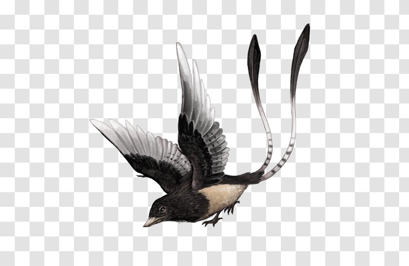 Confuciusornis Beak Dinosaur Hatzegopteryx Feilongus - Wing Transparent PNG