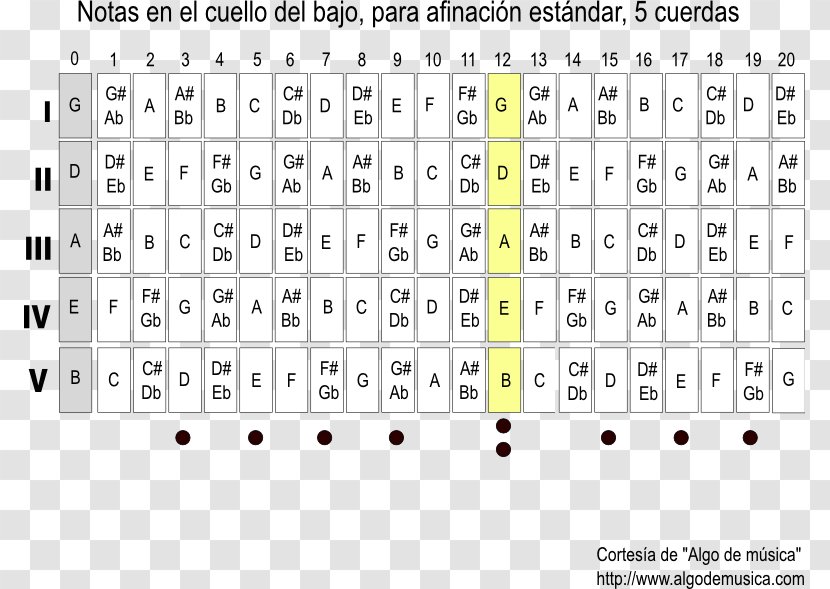 Bass Guitar String Musical Note Bajo Sexto Tablature - Tree Transparent PNG