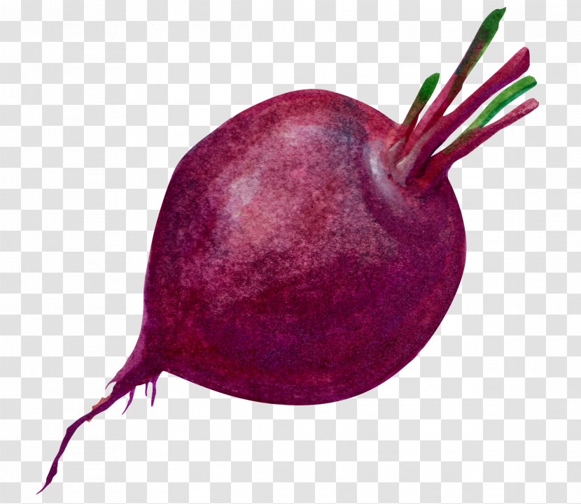 Purple Radish Vegetable - Beet Transparent PNG