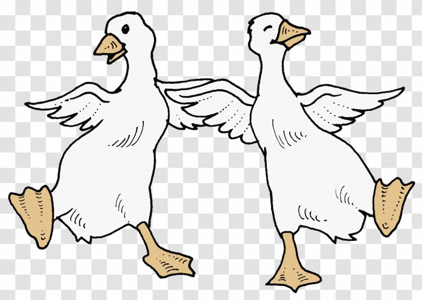 Coloring Book Goose Duck Child - Dance Transparent PNG