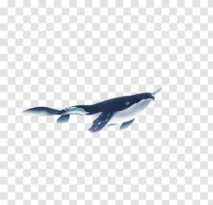 Cartoon Shark Download Illustration Transparent PNG