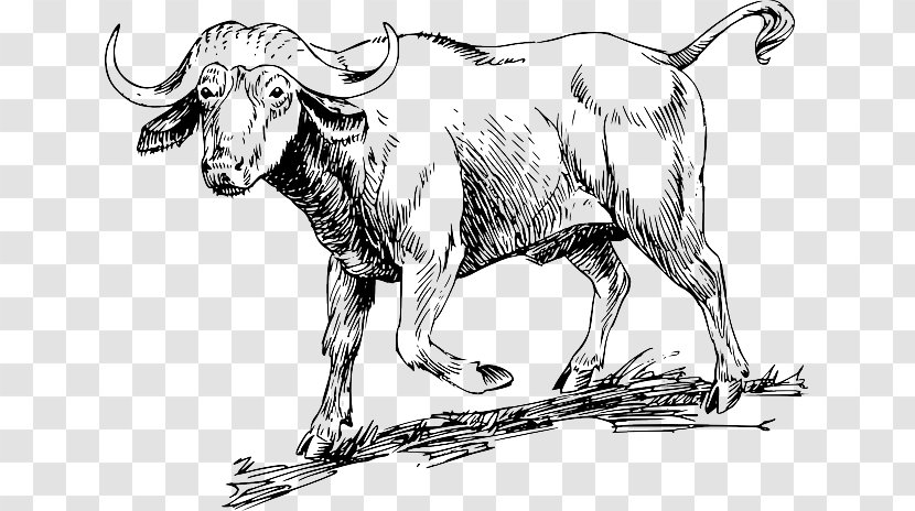 Ox Water Buffalo Beef Cattle Bull Clip Art - Goats - Long Horn Transparent PNG