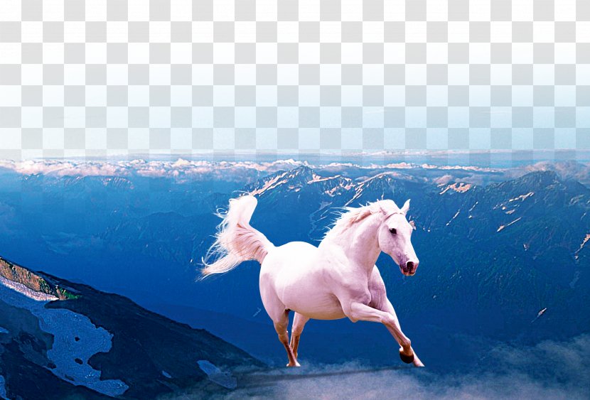 Horse Gallop Wallpaper - Unicorn - Dream Transparent PNG