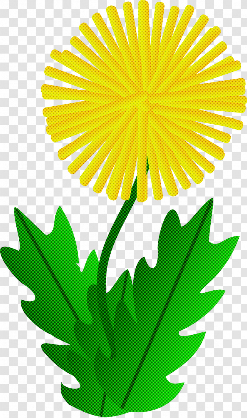 Yellow Leaf Flower Plant Dandelion Transparent PNG