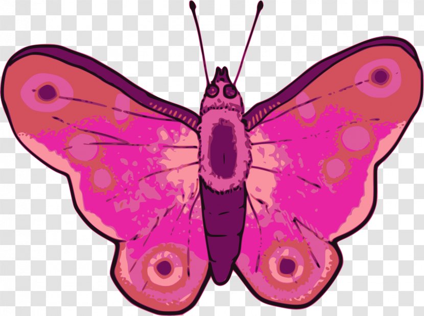 Monarch Butterfly Clip Art - Organism Transparent PNG