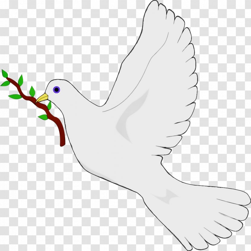 Feather - Animal Figure - Peace Transparent PNG