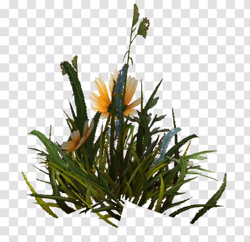 Floral Design Grasses Plant Stem Flower - World Of Warcraft Transparent PNG