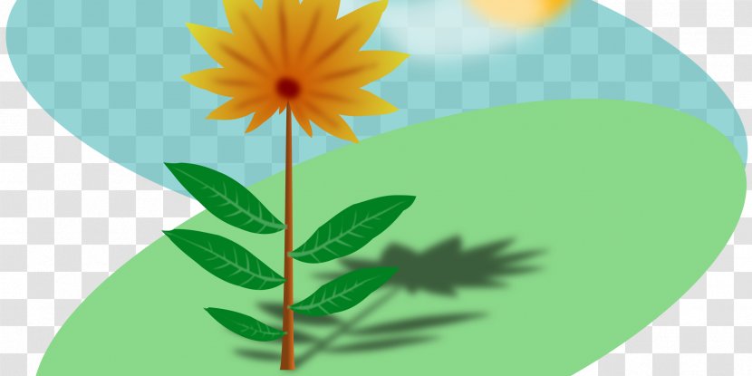 Flower Sunlight Clip Art - Royaltyfree - Generation Transparent PNG