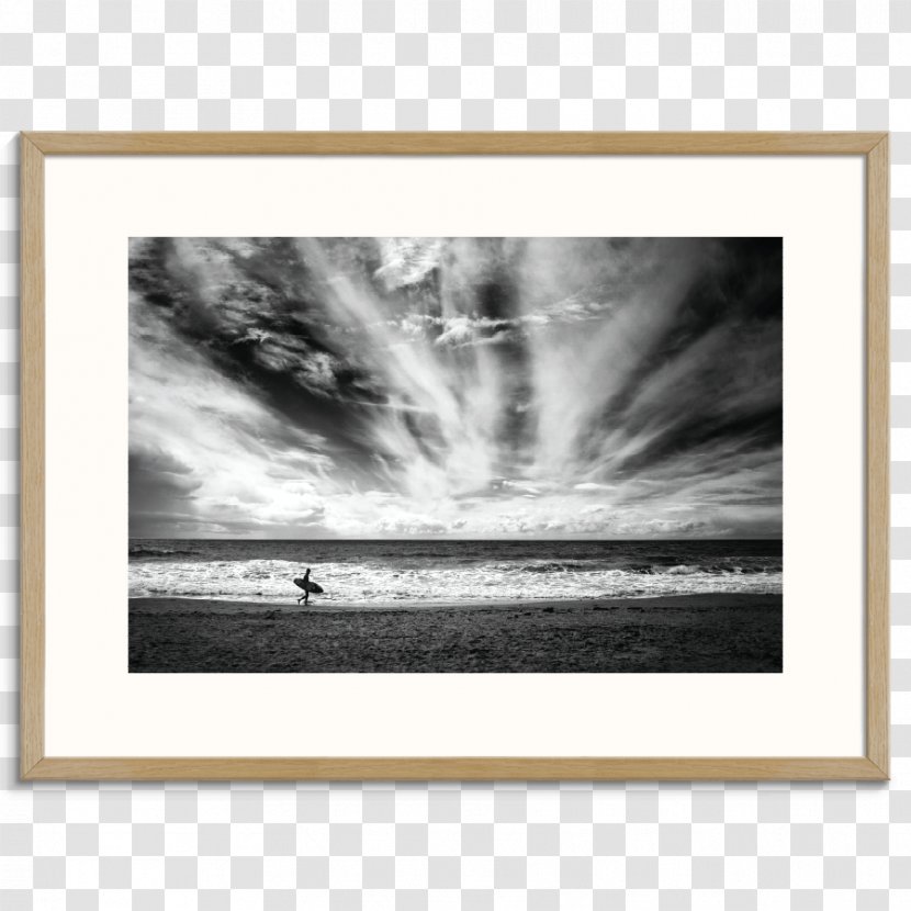 Art Photography Printmaking Canvas Print - Lonely Goose Transparent PNG
