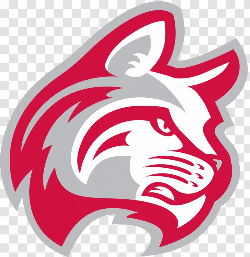 Indiana Wesleyan University Ball State Lourdes Bellevue Wildcats - Student Transparent PNG