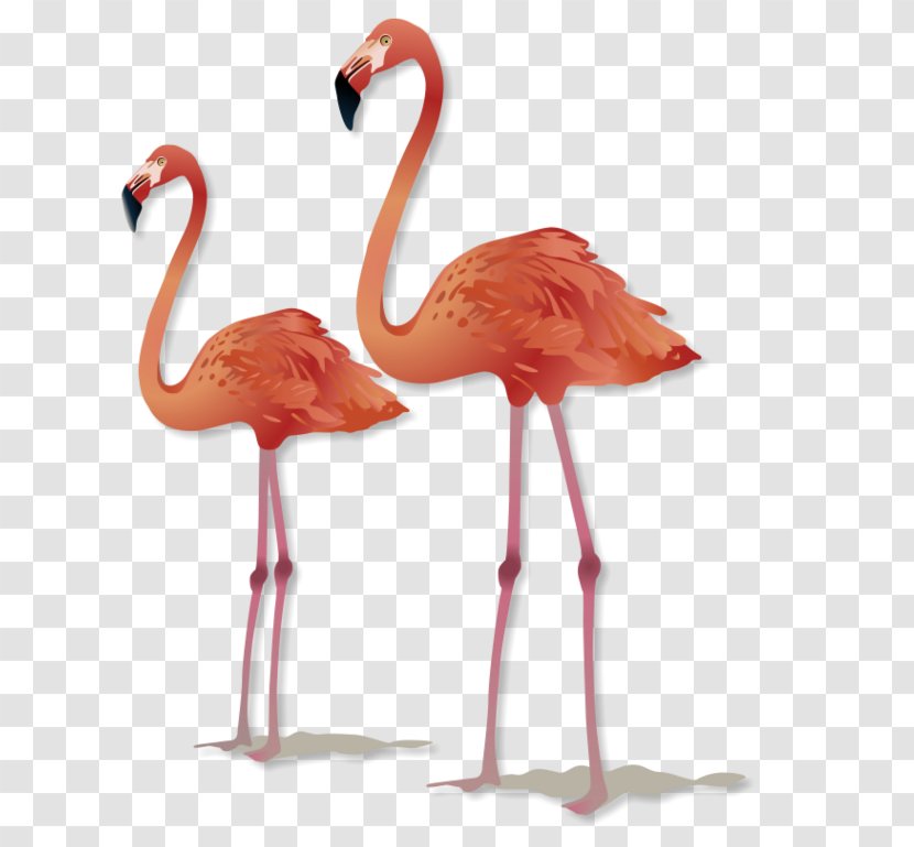 Greater Flamingo Maisons Du Monde Furniture Bedroom - Garden Transparent PNG