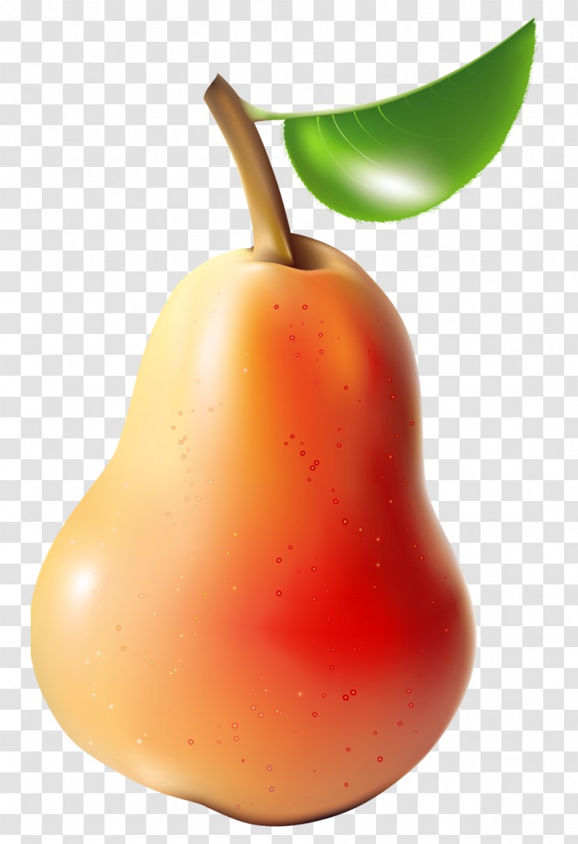 Pear Fruit Clip Art - Free Content - Pictures Transparent PNG
