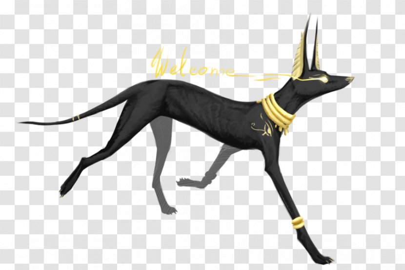 Anubis Pack Basior Dog Ancient Egypt - Tail Transparent PNG